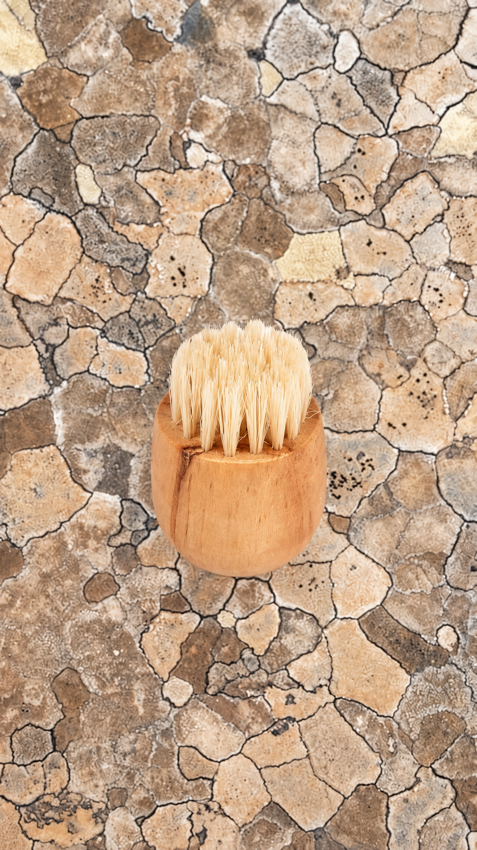 Round cedar complexion brush with natural bristles