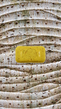 Sea Loofa Soap bar