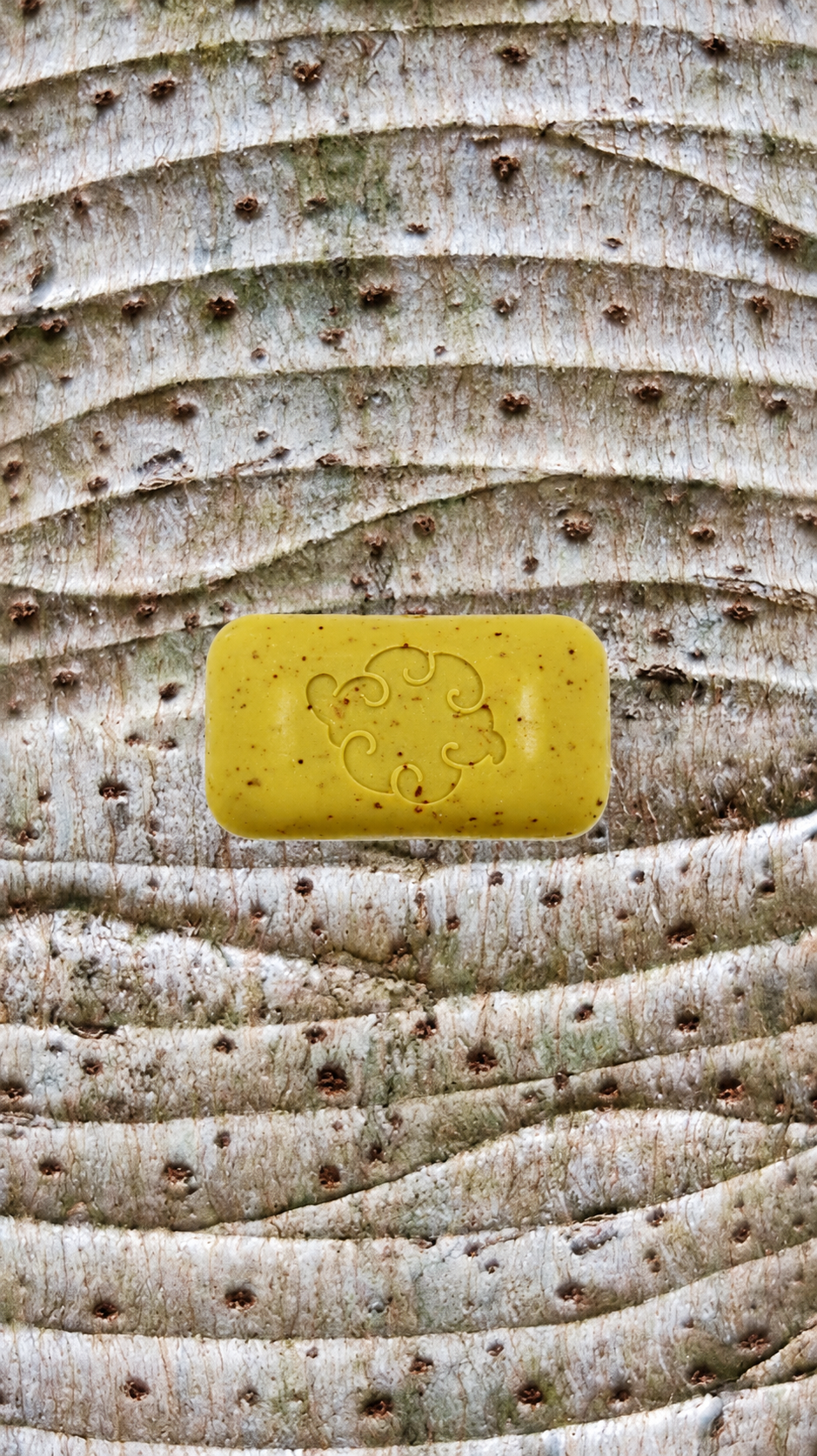 Sea Loofa Soap bar